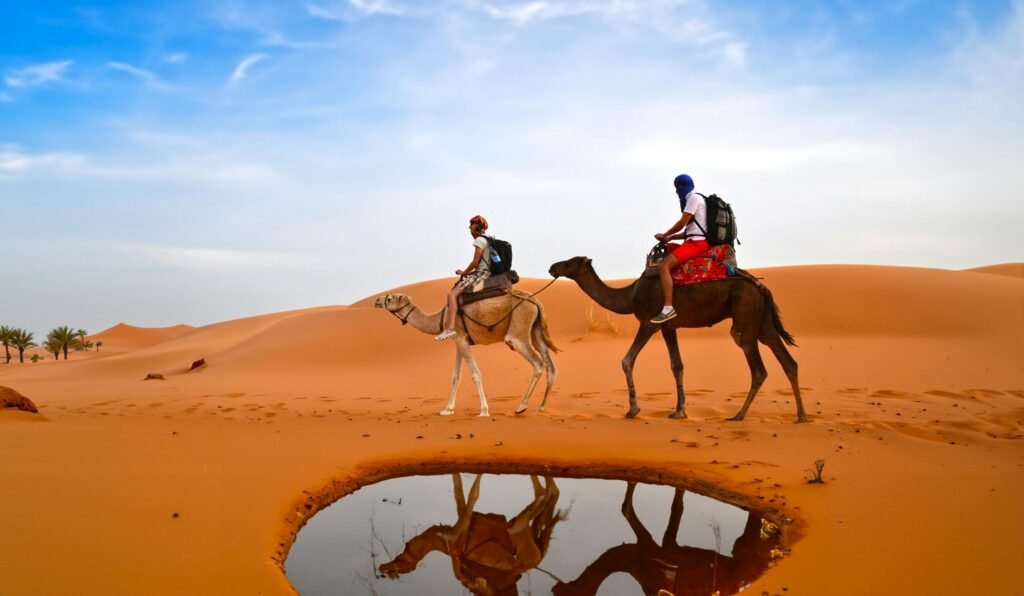 Ridding Camel in the nature of southern morocco