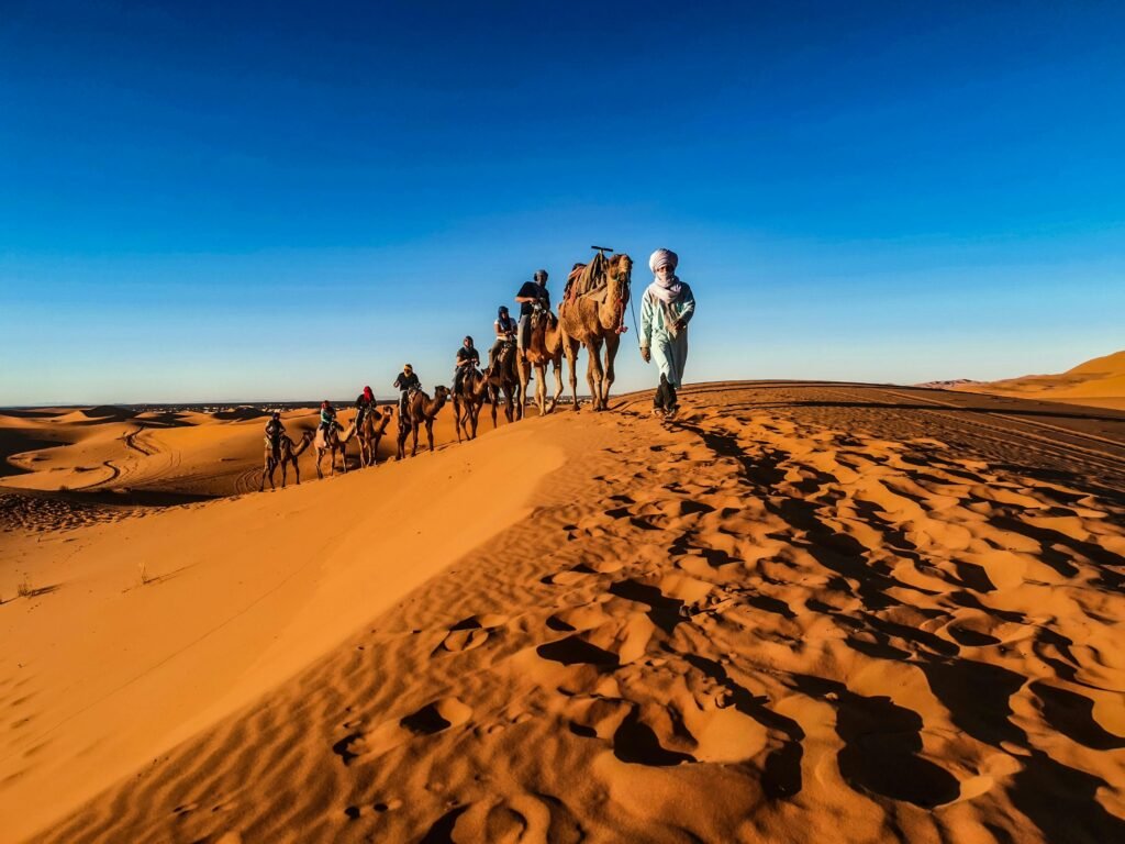 camel riding in the moroccan sahara