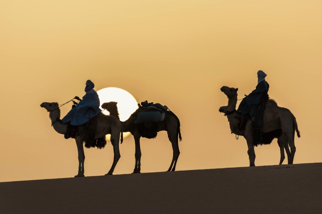 Camel riding in the heart of the desert