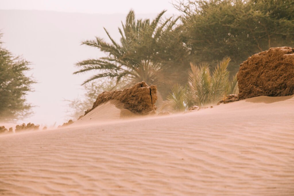 Moroccan Sahara