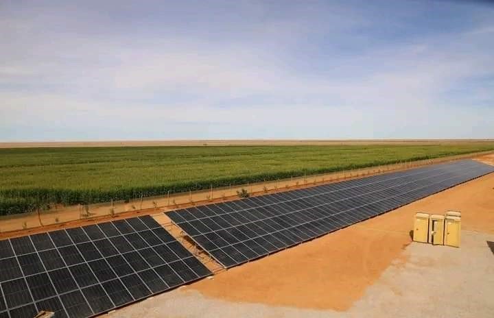 sustainability, a key draw for eco-conscious travelers.