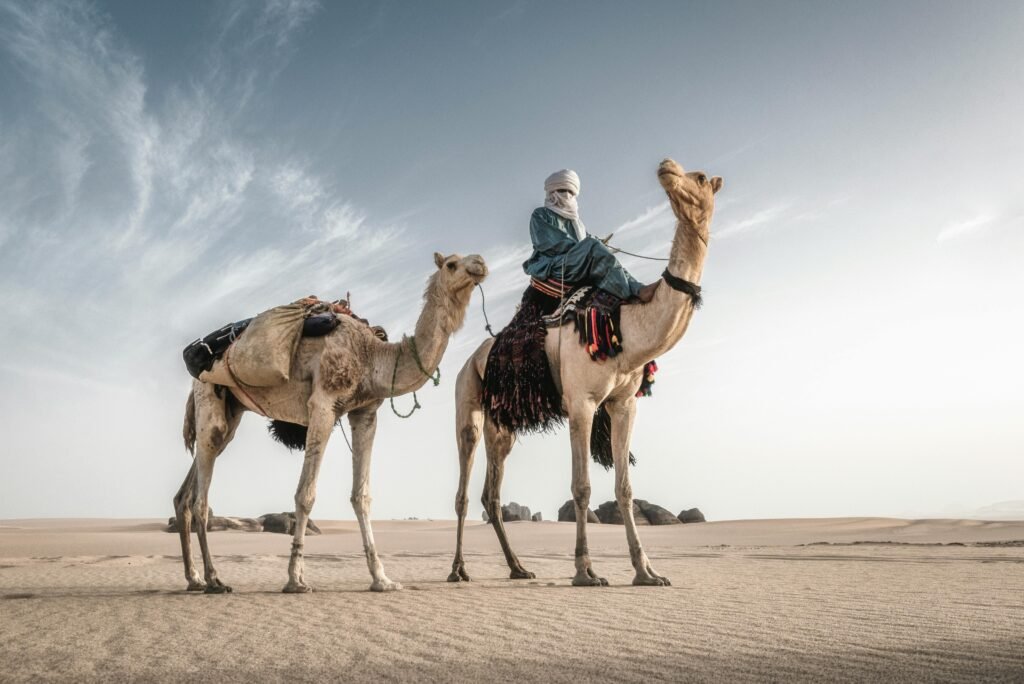 local sahrawi riding a camel