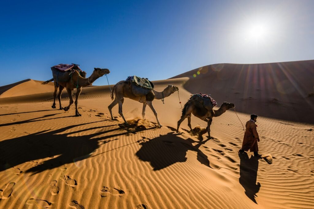 Visualizes "Sahrawi culture" in its rawest form—perfect for tourism intrigue.
